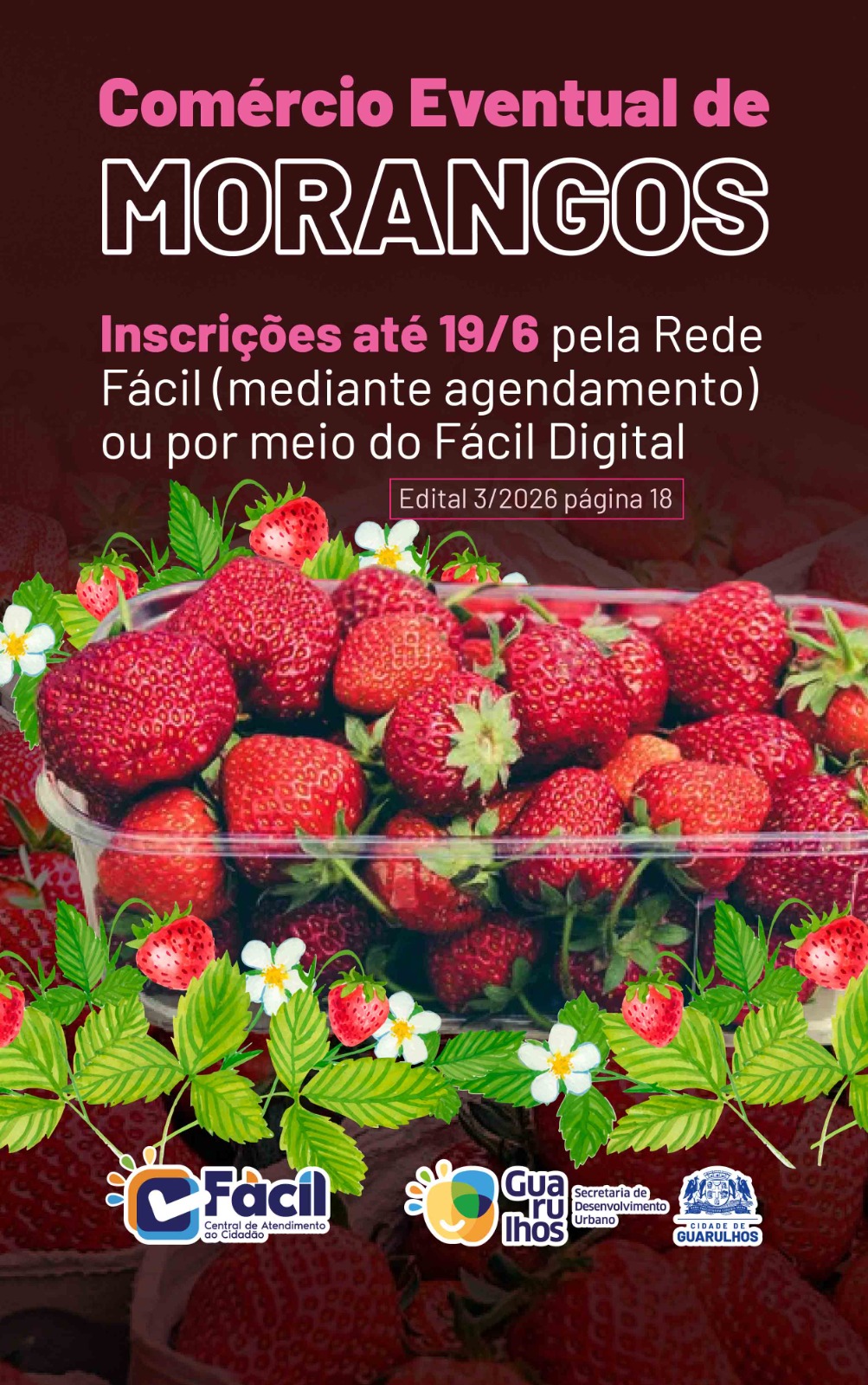 Em destaque: Guarulhos recebe inscrições para comércio eventual de morangos até 19 de junho