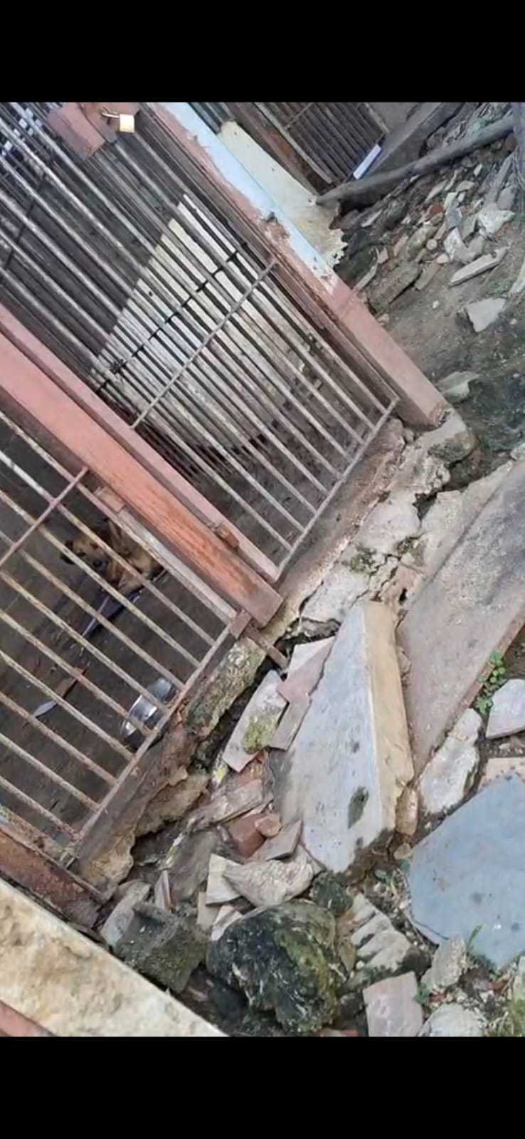 Moradores denunciam cachorro sozinho no frio e abandonado em imóvel no Jardim Nova Taboão