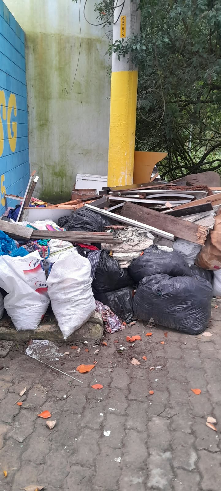 governo local de Guarulhos realiza limpeza e remoção de resíduos na Estrada David, no Cabuçu