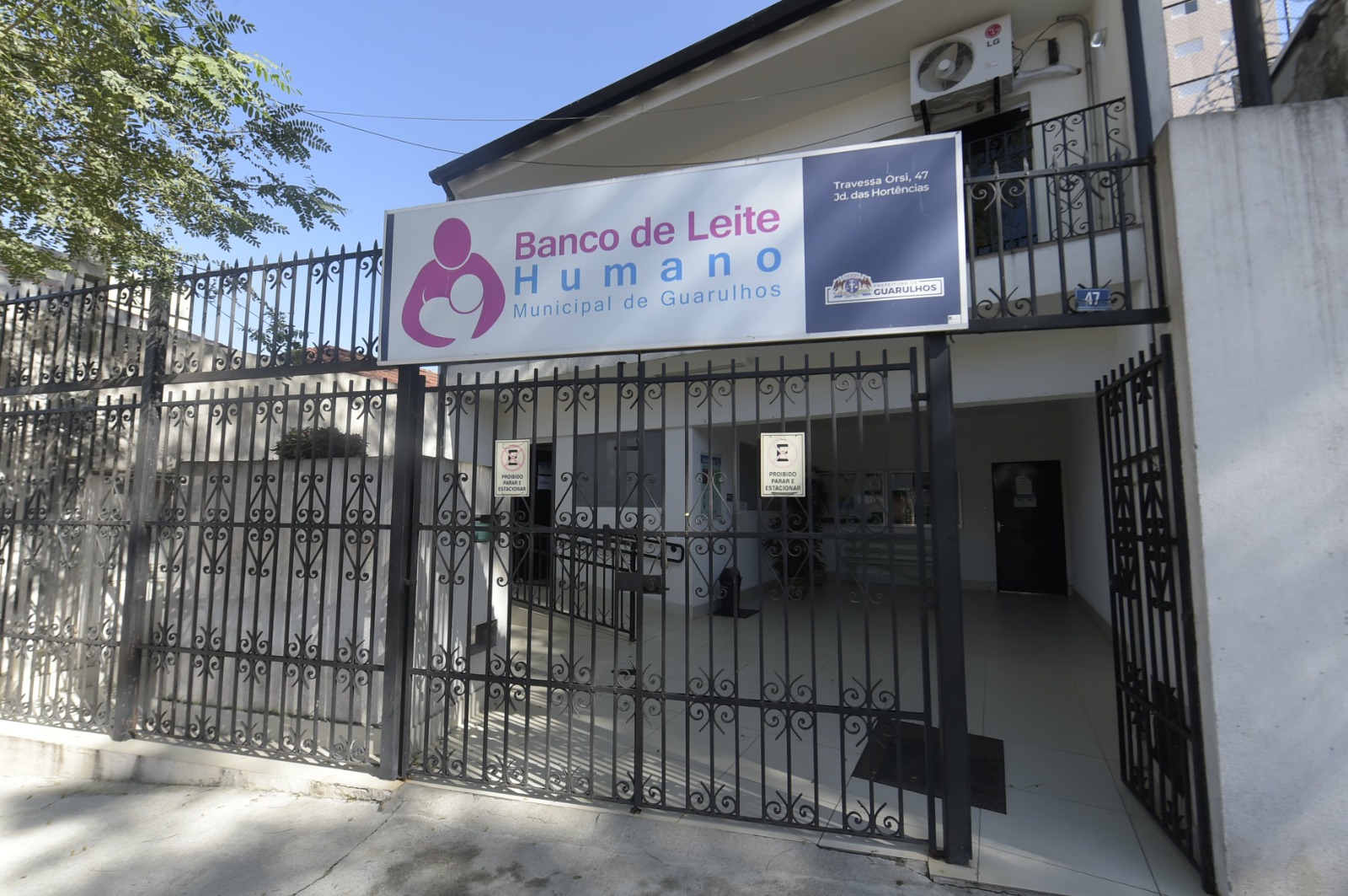 Em destaque: Guarulhos atende 300 recém-nascidos por mês com leite doado e busca novas colaboradoras