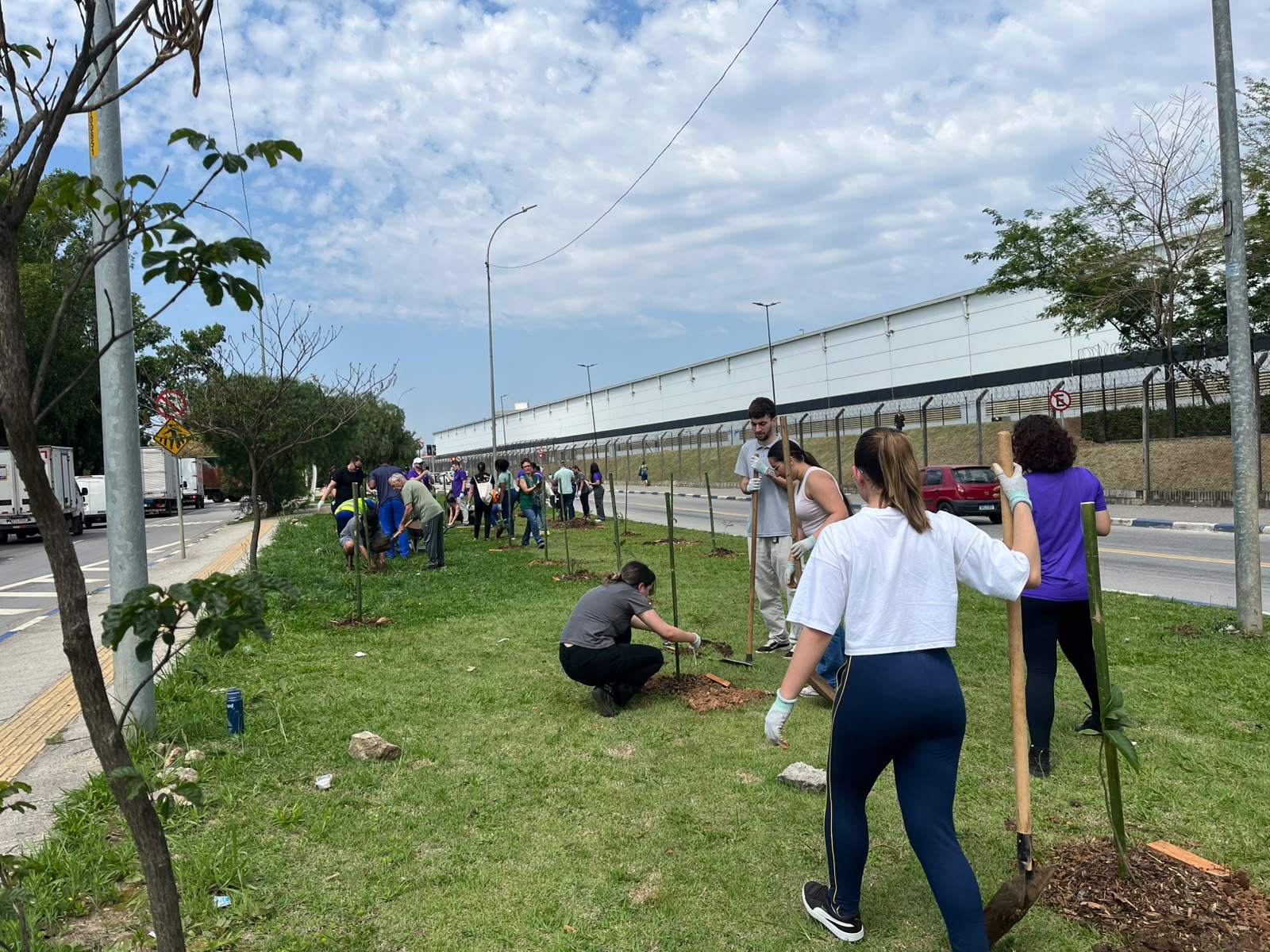 governo local de Guarulhos planta 470 mudas de árvores nativas da Mata Atlântica em setembro