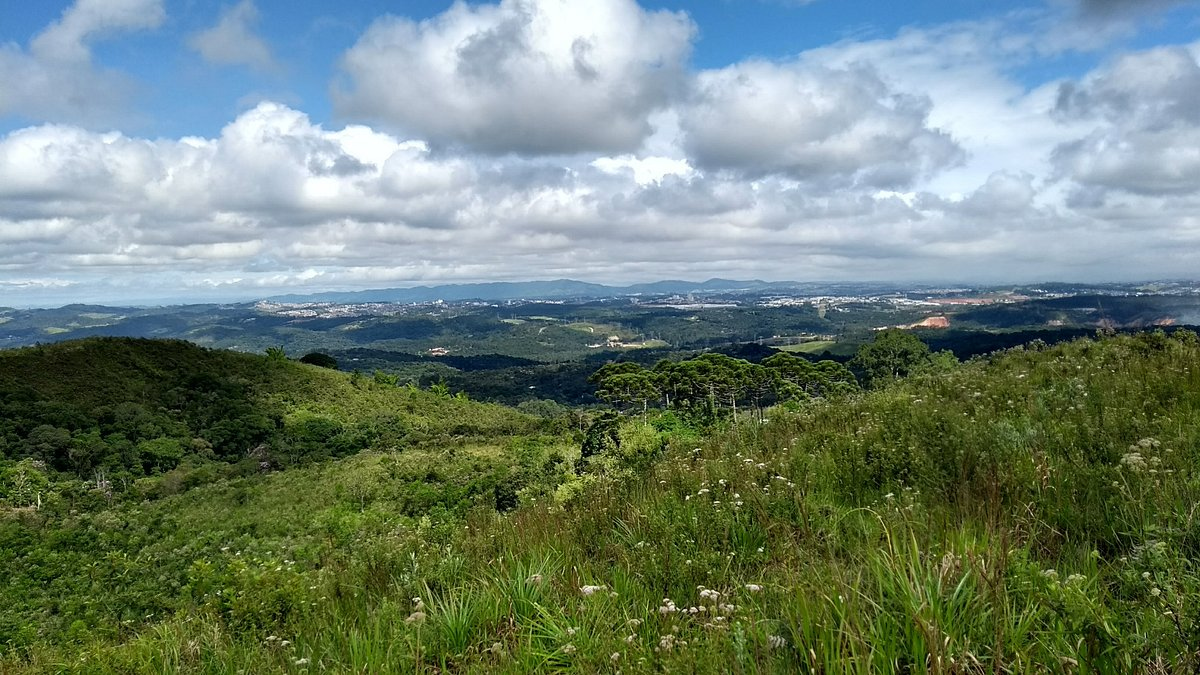 Panorama: Roteiro gratuito leva moradores ao Morro Nhangussu para conhecer a história de Guarulhos