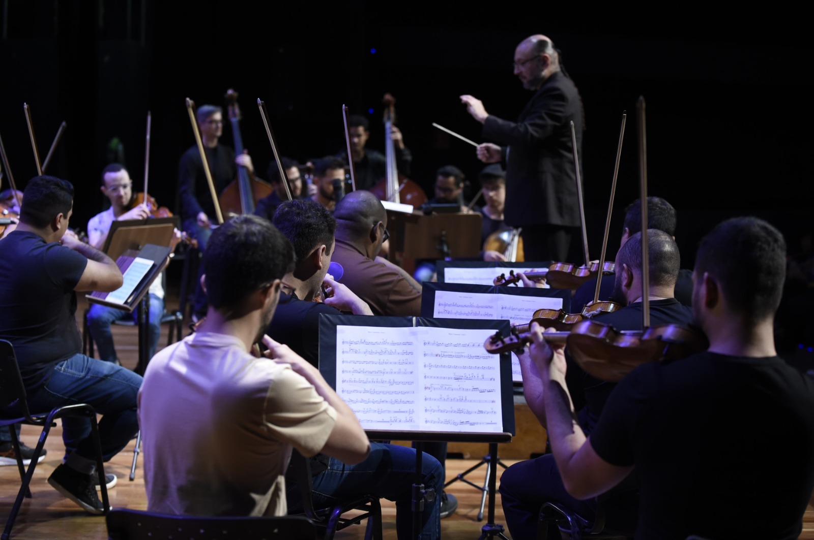Panorama: Concerto gratuito no Teatro Adamastor percorre As Quatro Estações, de Vivaldi