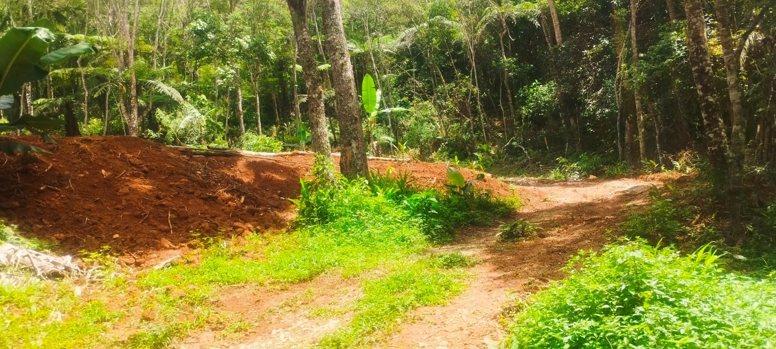 GCM de Guarulhos flagra crime ambiental no Parque Estadual Itaberaba