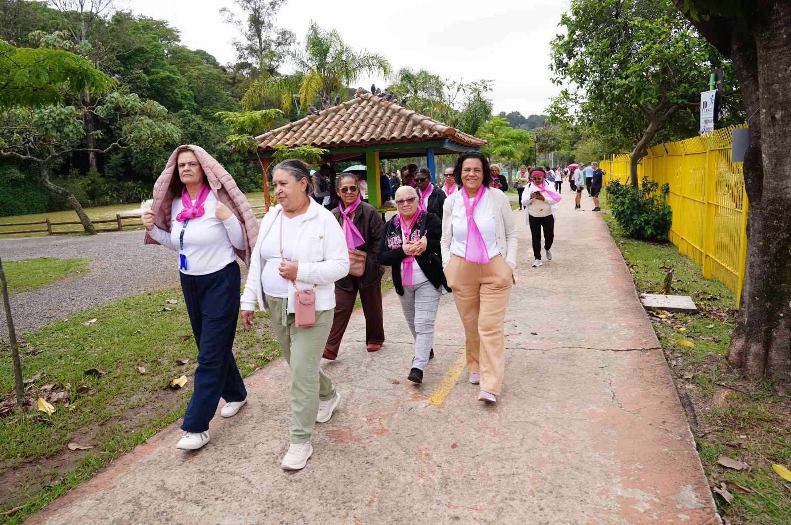 Fique por dentro: 1ª Caminhada Laço Rosa reúne mais de 200 mulheres no Bosque Maia